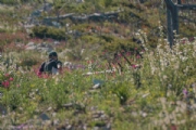 B3625899