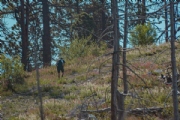 B3625923