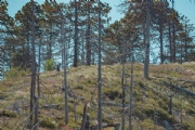 B3626016