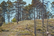 B3626708