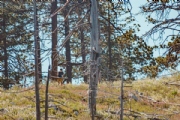B3626765
