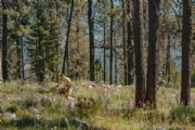 B3626814