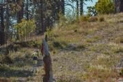 B3626859
