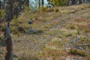 B3626913