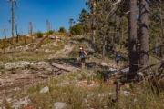 C3626575