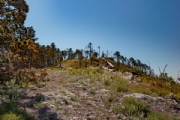 D3625605