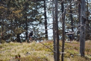 E3626580