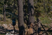 E3626792