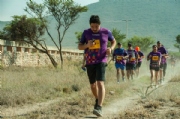 D3597886
