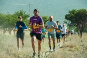N3598075