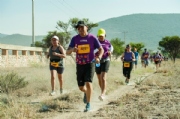 T3599981