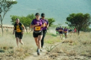 V3599525