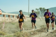 Y3597536