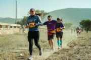 Y3598273