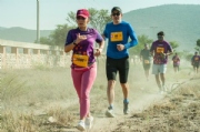 Y3599273