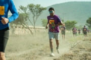 Y3599430