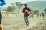 Y3599454