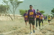 Y3599758
