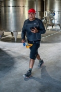 Bernal Viñedos