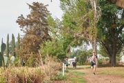 H3650996