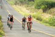 I3631506