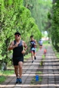 N3636629