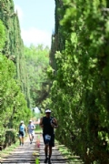V3635411