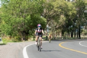 P3633701