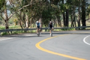 X3634815