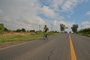C3643951