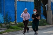 Y3666195