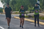 W3662452
