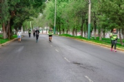 I3664441