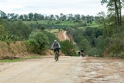 A3668346
