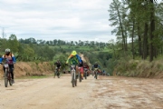 C3669432