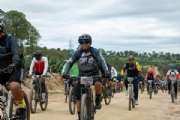 D3670276