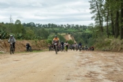 H3667337