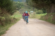 O3669518
