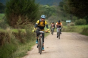 Q3667959