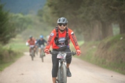 T3669187