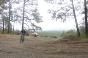 B3675548