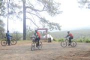 B3676339