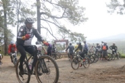 F3675129