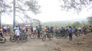 V3674990