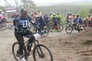 W3675794
