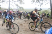 X3675740