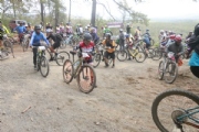 Y3674978