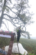 Y3676775