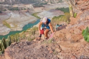W3677249