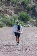 H3683415